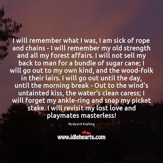 I will remember what I was, I am sick of rope and Lost Love Quotes Image
