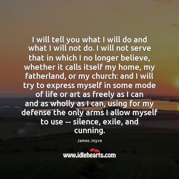 I will tell you what I will do and what I will James Joyce Picture Quote