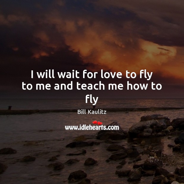 I will wait for love to fly to me and teach me how to fly Bill Kaulitz Picture Quote