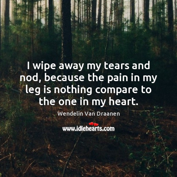 I wipe away my tears and nod, because the pain in my Wendelin Van Draanen Picture Quote