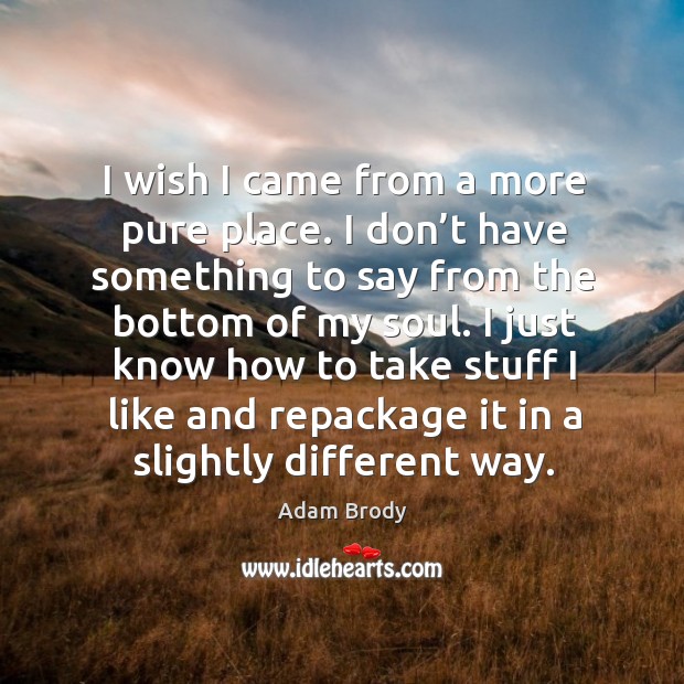 I wish I came from a more pure place. I don’t have something to say from the bottom of my soul. Adam Brody Picture Quote
