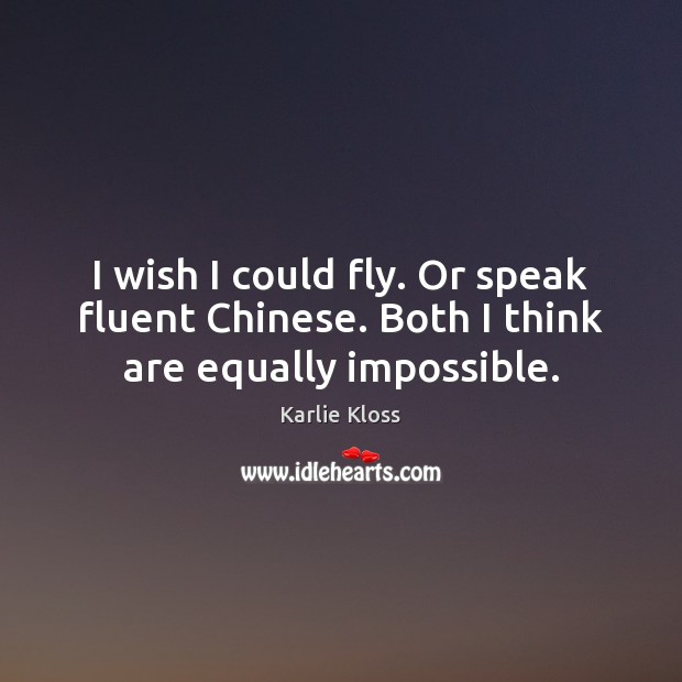 I wish I could fly. Or speak fluent Chinese. Both I think are equally impossible. Image