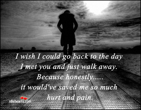 I wish I could go back to the day I met you. Hurt Quotes Image