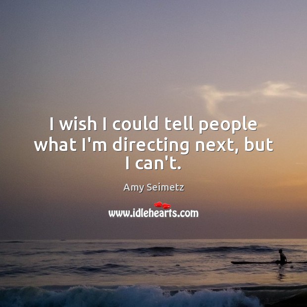 I wish I could tell people what I’m directing next, but I can’t. Amy Seimetz Picture Quote