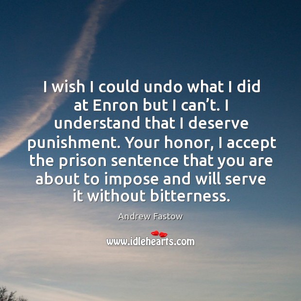 I wish I could undo what I did at enron but I can’t. I understand that I deserve punishment. Andrew Fastow Picture Quote