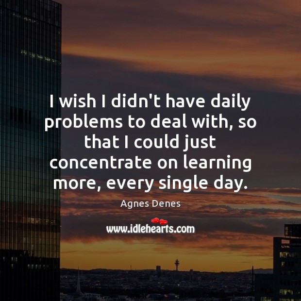 I wish I didn’t have daily problems to deal with, so that Agnes Denes Picture Quote