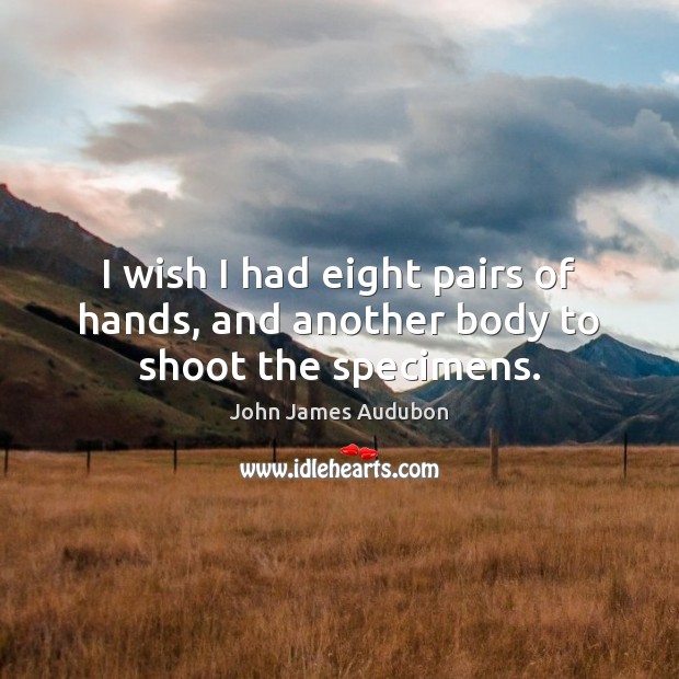 I wish I had eight pairs of hands, and another body to shoot the specimens. John James Audubon Picture Quote