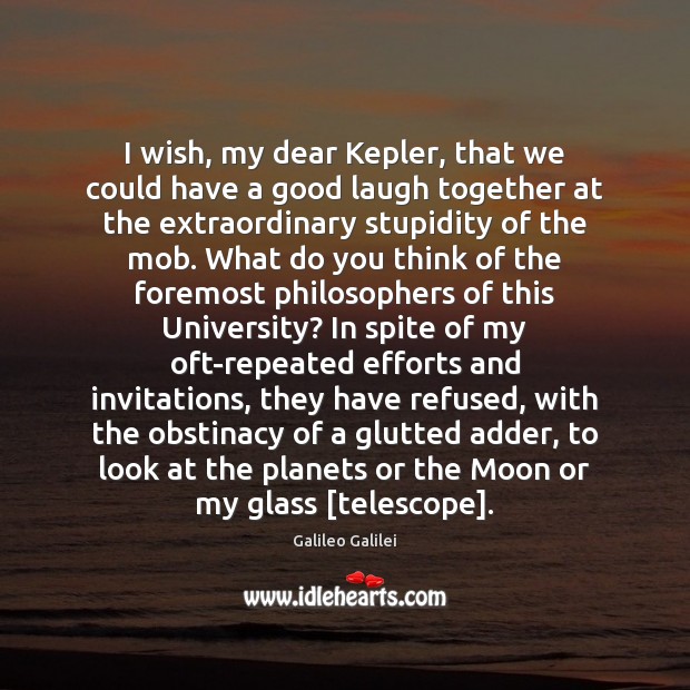 I wish, my dear Kepler, that we could have a good laugh Galileo Galilei Picture Quote