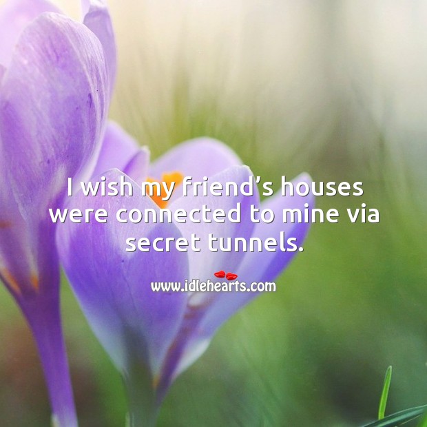 I wish my friend’s houses were connected to mine via secret tunnels. Secret Quotes Image
