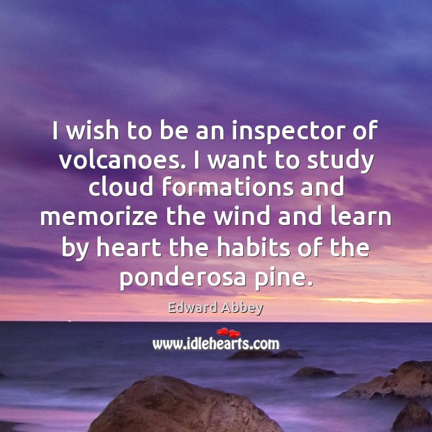 I wish to be an inspector of volcanoes. I want to study Image