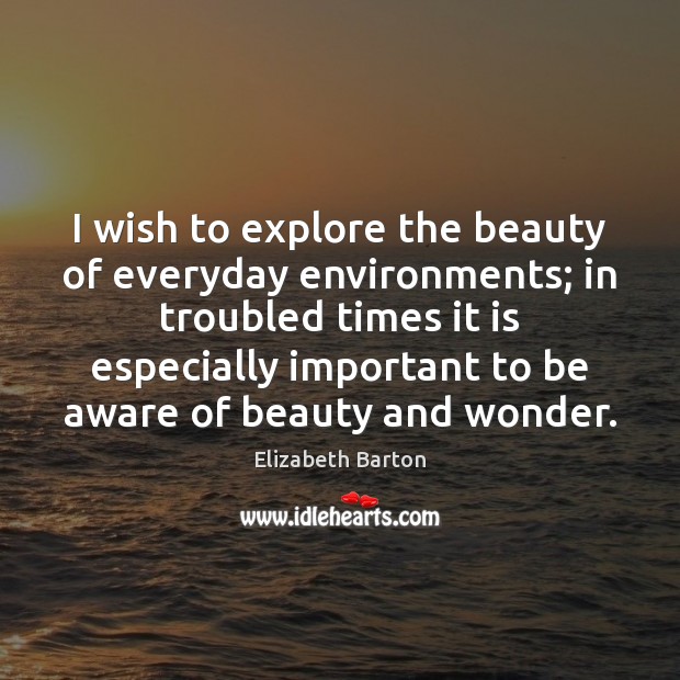 I wish to explore the beauty of everyday environments; in troubled times Elizabeth Barton Picture Quote