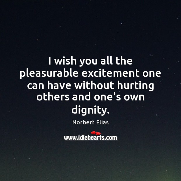 I wish you all the pleasurable excitement one can have without hurting Norbert Elias Picture Quote
