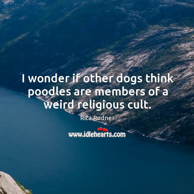 I wonder if other dogs think poodles are members of a weird religious cult. Rita Rudner Picture Quote