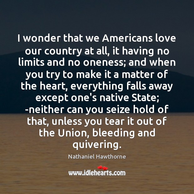 I wonder that we Americans love our country at all, it having Nathaniel Hawthorne Picture Quote