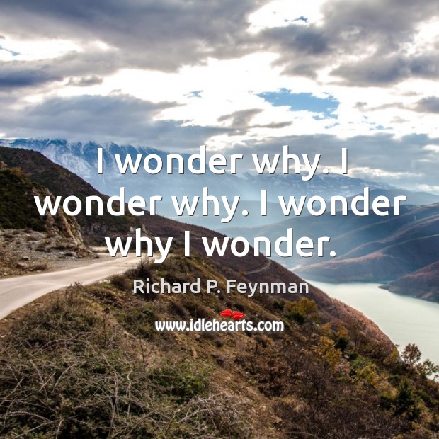 I wonder why. I wonder why. I wonder why I wonder. Richard P. Feynman Picture Quote