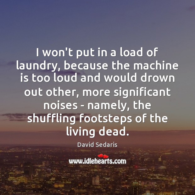 I won’t put in a load of laundry, because the machine is David Sedaris Picture Quote