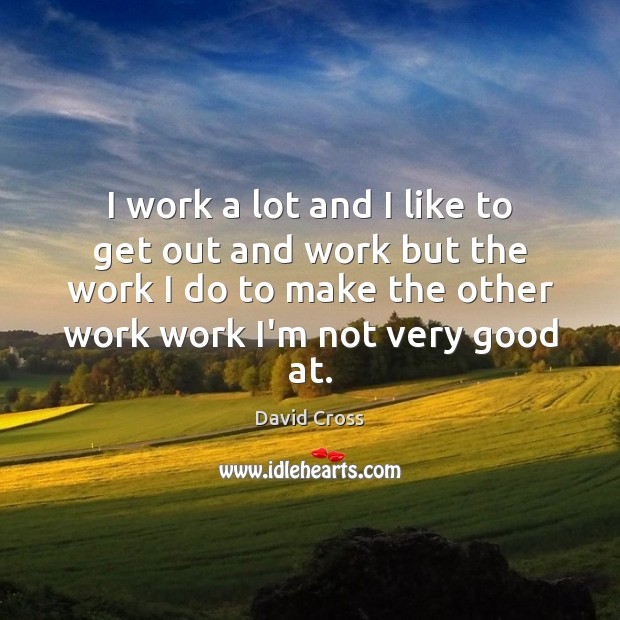 I work a lot and I like to get out and work David Cross Picture Quote