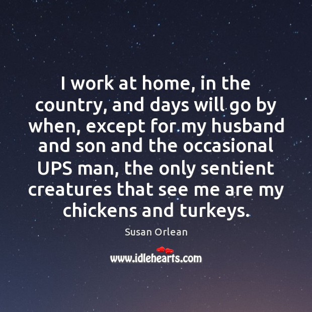 I work at home, in the country, and days will go by Susan Orlean Picture Quote