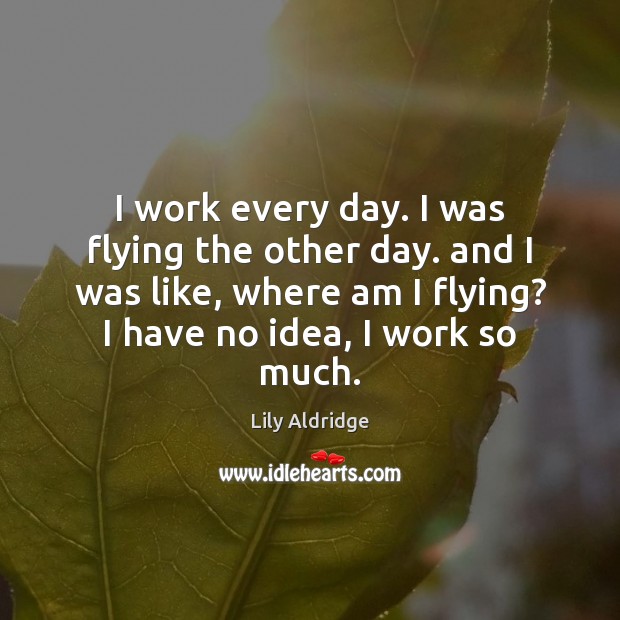 I work every day. I was flying the other day. and I Lily Aldridge Picture Quote