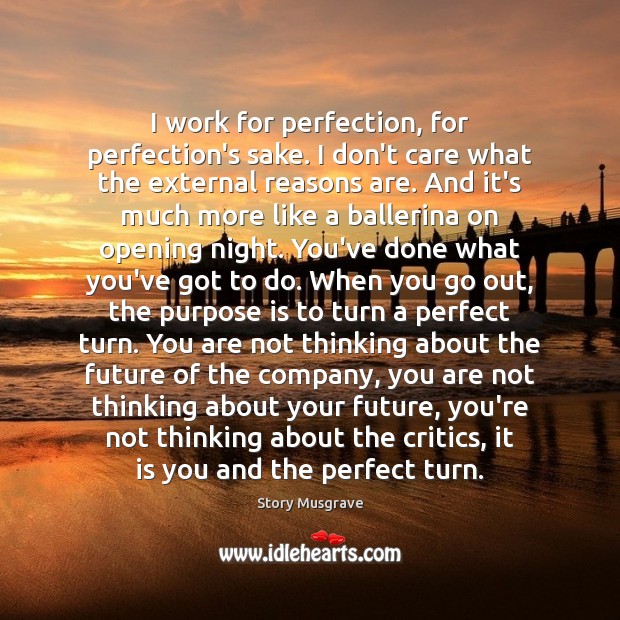 I work for perfection, for perfection’s sake. I don’t care what the Future Quotes Image