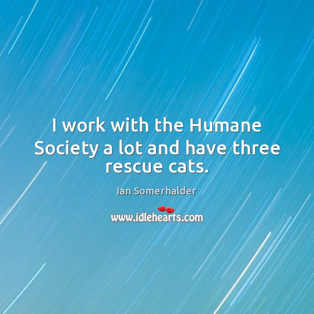 I work with the Humane Society a lot and have three rescue cats. Ian Somerhalder Picture Quote