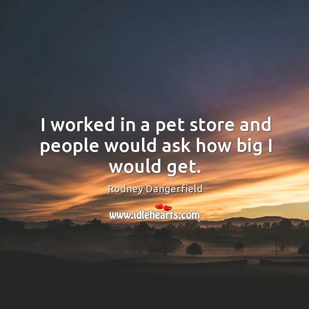 I worked in a pet store and people would ask how big I would get. Rodney Dangerfield Picture Quote
