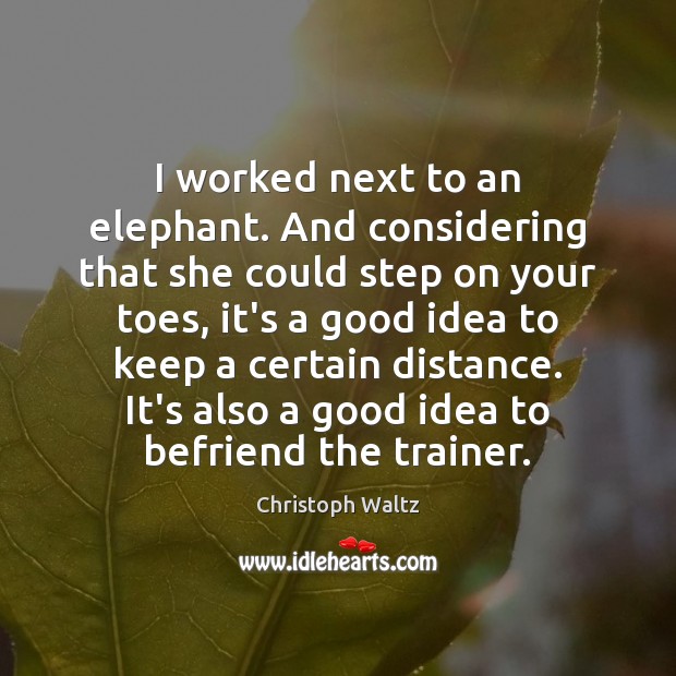 I worked next to an elephant. And considering that she could step Christoph Waltz Picture Quote