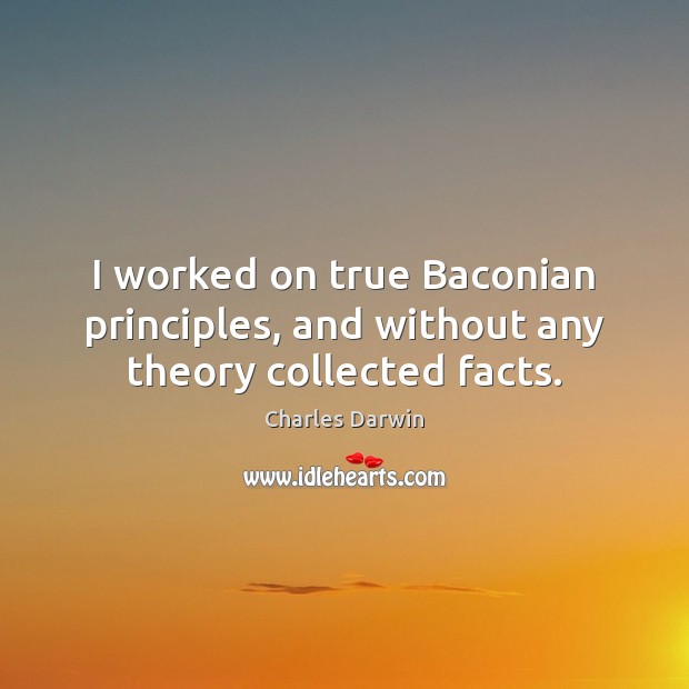 I worked on true Baconian principles, and without any theory collected facts. Charles Darwin Picture Quote