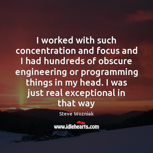 I worked with such concentration and focus and I had hundreds of Steve Wozniak Picture Quote