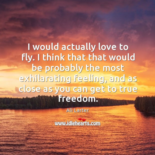 I would actually love to fly. I think that that would be Ali Larter Picture Quote