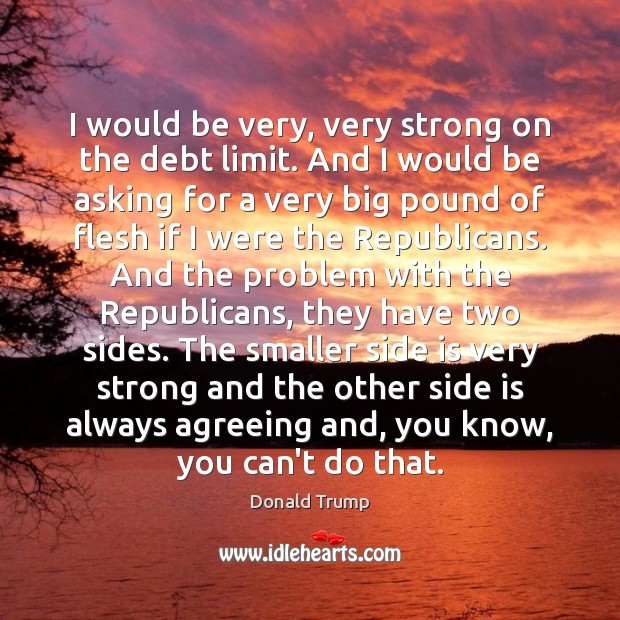 I would be very, very strong on the debt limit. And I Donald Trump Picture Quote