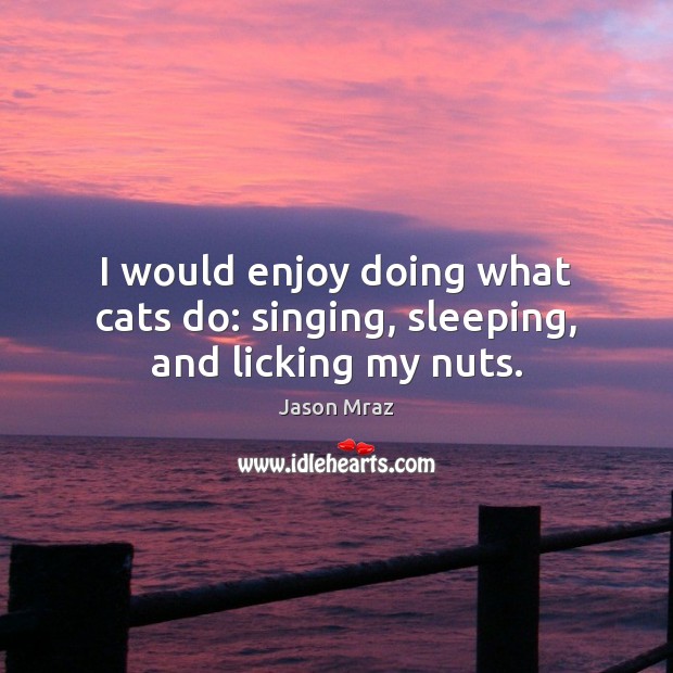 I would enjoy doing what cats do: singing, sleeping, and licking my nuts. Image