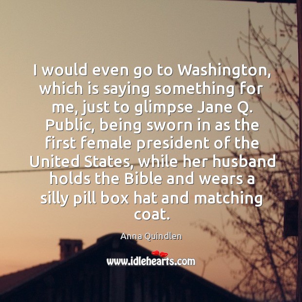 I would even go to washington, which is saying something for me Anna Quindlen Picture Quote