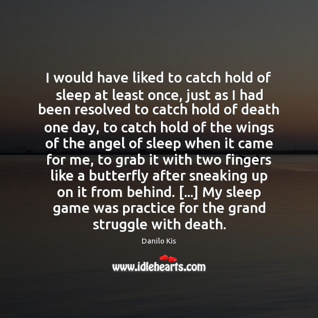 I would have liked to catch hold of sleep at least once, Danilo Kis Picture Quote