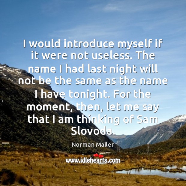 I would introduce myself if it were not useless. The name I Norman Mailer Picture Quote