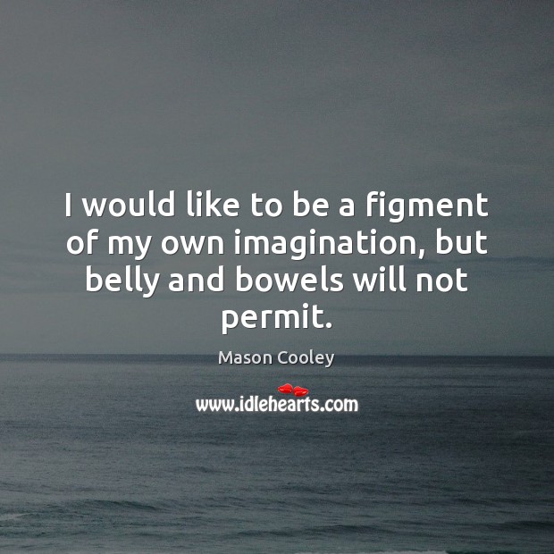 I would like to be a figment of my own imagination, but belly and bowels will not permit. Mason Cooley Picture Quote