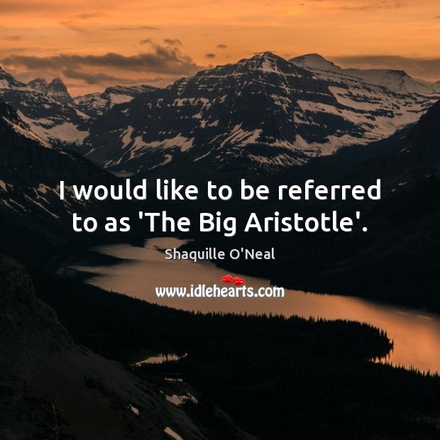 I would like to be referred to as ‘The Big Aristotle’. Image
