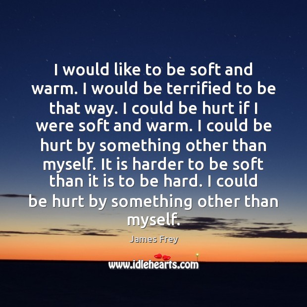 I would like to be soft and warm. I would be terrified James Frey Picture Quote