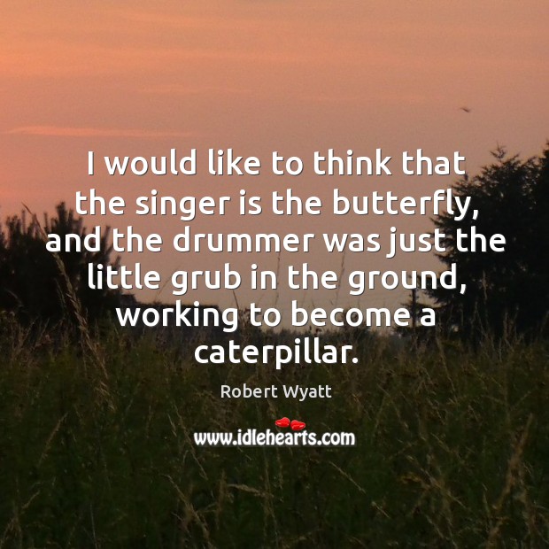 I would like to think that the singer is the butterfly, and the drummer was just the Robert Wyatt Picture Quote