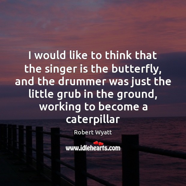 I would like to think that the singer is the butterfly, and Image