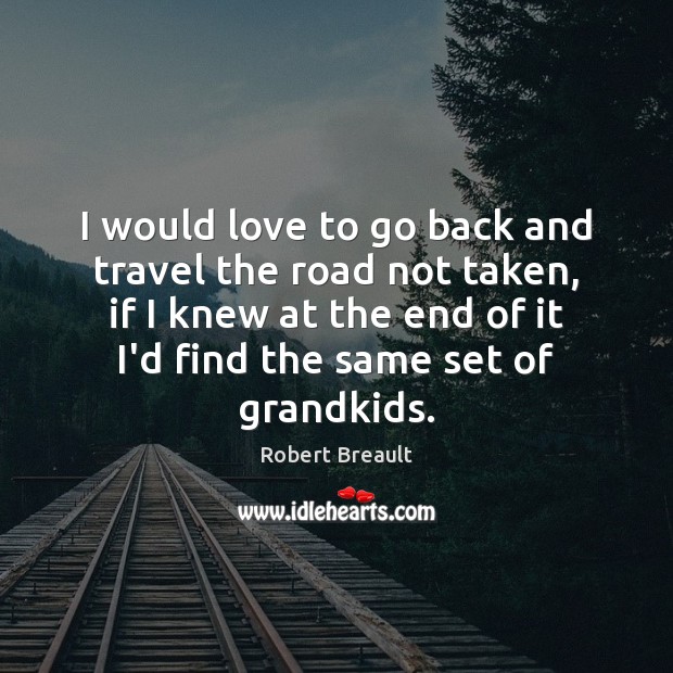 I would love to go back and travel the road not taken, Robert Breault Picture Quote