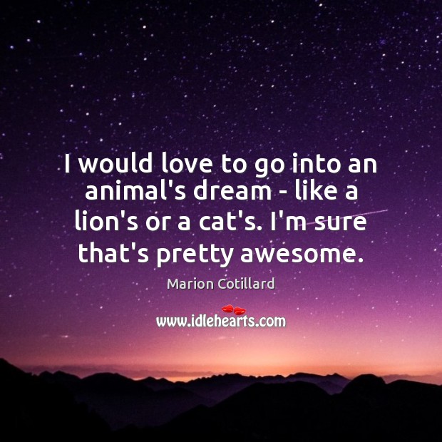 I would love to go into an animal’s dream – like a Marion Cotillard Picture Quote