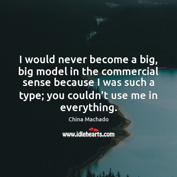 I would never become a big, big model in the commercial sense China Machado Picture Quote