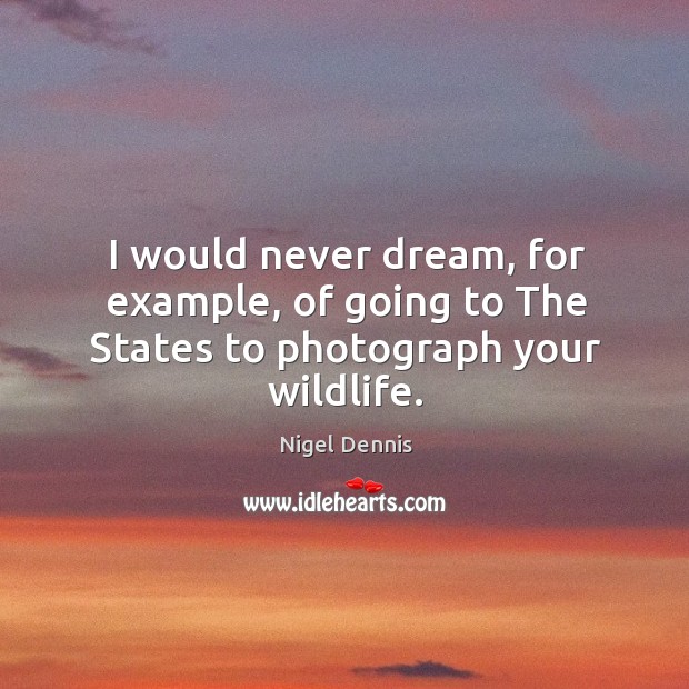 I would never dream, for example, of going to the states to photograph your wildlife. Nigel Dennis Picture Quote