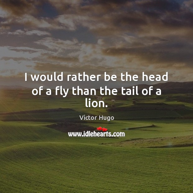 I would rather be the head of a fly than the tail of a lion. Image