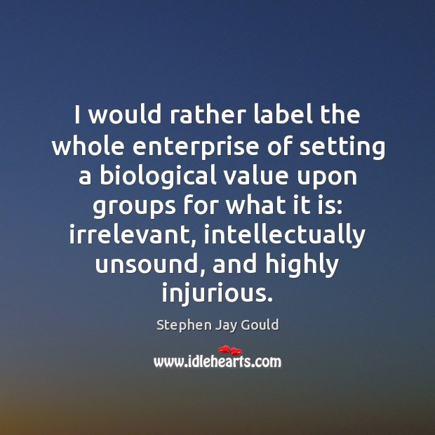 I would rather label the whole enterprise of setting a biological value Stephen Jay Gould Picture Quote
