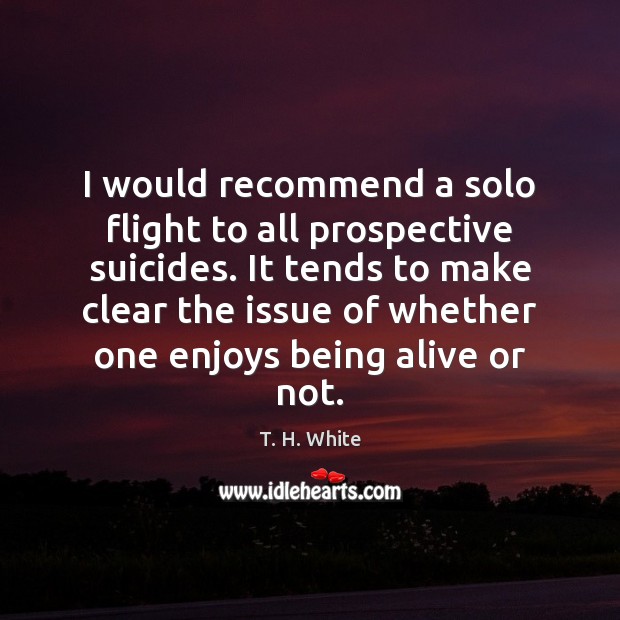 I would recommend a solo flight to all prospective suicides. It tends T. H. White Picture Quote