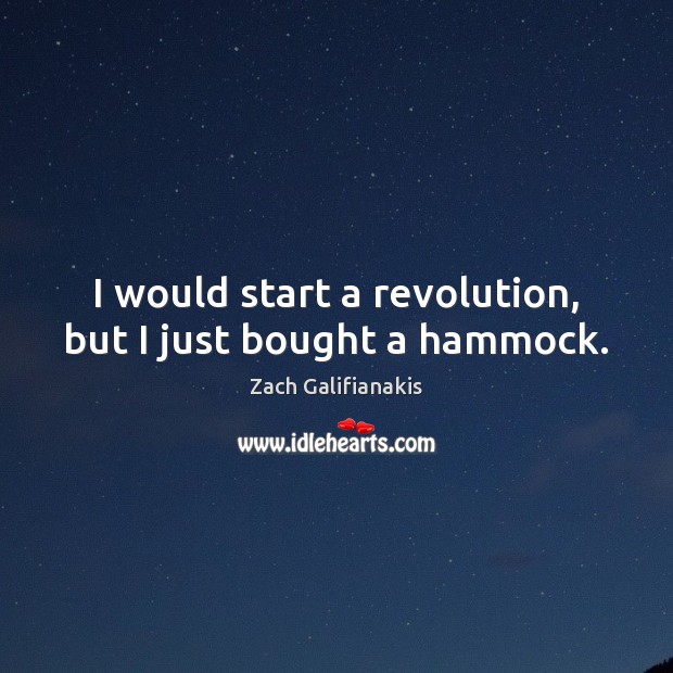 I would start a revolution, but I just bought a hammock. Zach Galifianakis Picture Quote