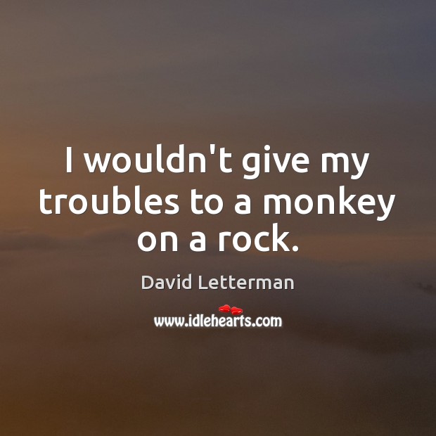 I wouldn’t give my troubles to a monkey on a rock. David Letterman Picture Quote