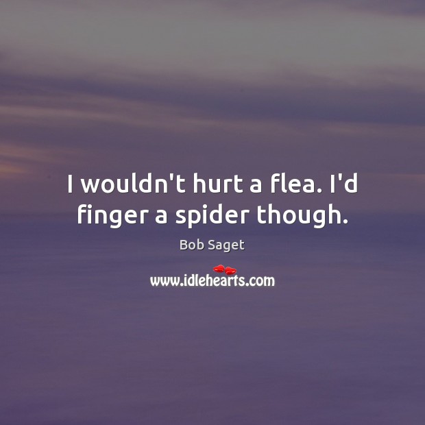 I wouldn’t hurt a flea. I’d finger a spider though. Bob Saget Picture Quote